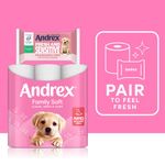 Andrex Family Soft Toilet Roll 2-Ply 170 Sheets Per Roll 6x4 (Pack of 24) 4490863