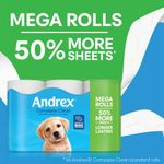Andrex Complete Clean Mega Toilet Roll 2-Ply 290 Sheets Per Roll (Pack of 12) 4982014