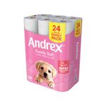 Andrex Family Toilet Roll 2-Ply 170 Sheets Per Roll (Pack of 24) 4978918