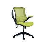 Jemini Jaya Mesh Back Chair with Folding Arms 680x670x1070mm Green KF77786