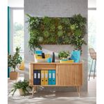 Leitz Cosy Stapler Capacity 30 Sheets Calm Blue 55670061