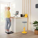 Leitz Ergo Cosy Standing Desk Converter 65330085