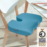 Leitz Ergo Cosy Seat Cushion 355x455x75mm Calm Blue 52840061