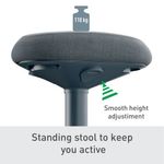 Leitz Ergo Active Standing Stool Dark Grey 65450089