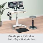 Leitz Ergo Small Pegboard Desk Organiser 65480000