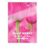 Leitz iLAM Premium Laminating Pouch A4 125 Micron (Pack of 100) 74810000