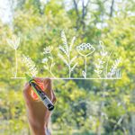 Uni-Ball UniChalk PWE5M Glass Marker Bullet Tip Fluorescent Yellow (Pack of 6) 264622000