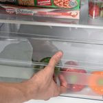 Statesman Tall Larder Fridge 230 Litre 55cm White TL235LWE