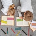 Pukka Pad Pukka Irlen Reading Ruler IRLOVERLAY