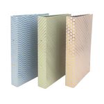 Pukka Pad Haze Ring Binder A4 Assorted (Pack of 5) 9889AST-HZE