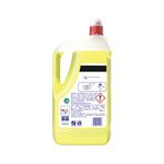 Fairy Professional Washing Up Liquid Lemon 5 Litres (Pack of 2) 98569