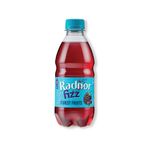 Radnor Fizz Forest Fruits Soft Drink 330ml Pack of 24 P-RS3SPFF/24