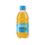 Radnor Fizz Tropical Soft Drink 330ml Pack of 24 P-RS3SPTR/24