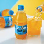 Radnor Fizz Tropical Soft Drink 330ml Pack of 24 P-RS3SPTR/24