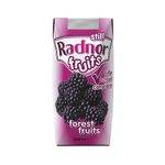 Radnor Fruits Forest Fruits Tetra Pack 200ml (Pack of 24) T-RF20STFF/24