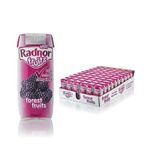 Radnor Fruits Forest Fruits Tetra Pack 200ml (Pack of 24) T-RF20STFF/24