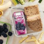 Radnor Fruits Forest Fruits Tetra Pack 200ml (Pack of 24) T-RF20STFF/24