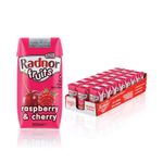 Radnor Fruits Raspberry + Cherry Tetra Pack 200ml (Pack of 24) T-RF20STRC/24
