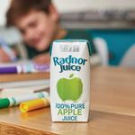 Radnor Juice Pure Apple Juice Tetra Pack 125ml (Pack of 60) T-RJ12STAP/60