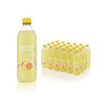 Sparkling Water Pineapple/Grapefruit 500ml Pack of 24 P--RS5SPPG/24