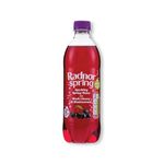 Sparkling Water Blk Cherry/Blackcurrant 500ml Pack of 24 P-RS5SPCB/24