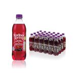 Sparkling Water Blk Cherry/Blackcurrant 500ml Pack of 24 P-RS5SPCB/24