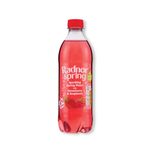 Sparkling Water Strawberry and Raspberry 500ml Pack of 24 P-RS5SPSR/24