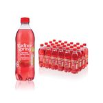Sparkling Water Strawberry and Raspberry 500ml Pack of 24 P-RS5SPSR/24