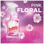 Windolene Glass and Shiny Surfaces Spray 750ml Pink Floral (Pack of 6) 3249582