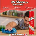 Mr Sheen Multi Surface Polish Aerosol Professional Original 250ml 3175247