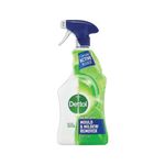 Dettol Mould and Mildew Remover 750ml 71815