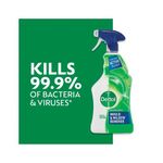 Dettol Mould and Mildew Remover 750ml 71815