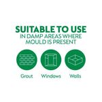 Dettol Mould and Mildew Remover 750ml 71815