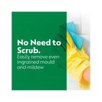 Dettol Mould and Mildew Remover 750ml 71815