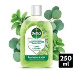 Dettol Concentrated Disinfectant Eucalyptus + Mint 250ml 3319738