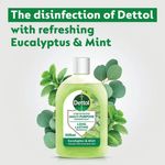 Dettol Concentrated Disinfectant Eucalyptus + Mint 250ml 3319738