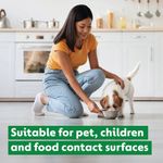 Dettol Concentrated Disinfectant Eucalyptus + Mint 250ml 3319738