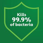 Dettol Concentrated Disinfectant Mango + Hibiscus 250ml 3319741