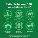 Dettol Concentrated Disinfectant Mango + Hibiscus 250ml 3319741