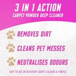 Vanish Gold Carpet Cleaner Foam 600ml (Pack of 6) 3271448