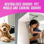 Vanish Gold Carpet Cleaner Foam 600ml (Pack of 6) 3271448