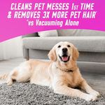 Vanish Gold Carpet Cleaner Foam 600ml (Pack of 6) 3271448