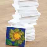 Mini Painting Canvas 150x150mm (Pack of 30) AR01363