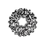 Urban Fitness Foam Massage Roller Black/White UFA027