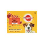 Pedigree Adult Wet Dog Food in Jelly Mixed Selection 100g Pouches (Pack of 12) 545402