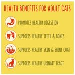 Go-Cat 1 Years + with a Chicken and Duck Mix 320g (Pack of 6) 261446