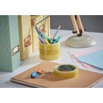 Sellotape Original Golden Tape 24mmx50m 2928287