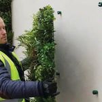 Vistafolia Fixings for use with Artificial Green Wall Panels Small (Pack of 12) FIX-SMA