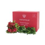 Vistafolia Forest Flame Colour Box (Pack of 30) CBX-FFL