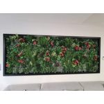 Vistafolia Forest Flame Colour Box (Pack of 30) CBX-FFL